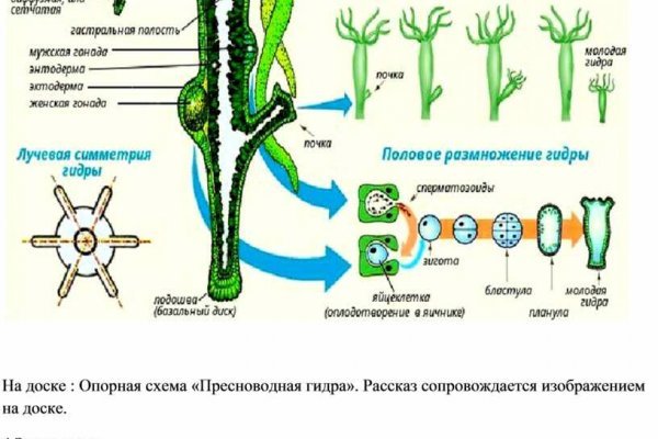 Блэкспрут восстановили