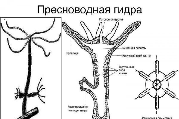 Ссылка на блэкспрут в тор браузер онион